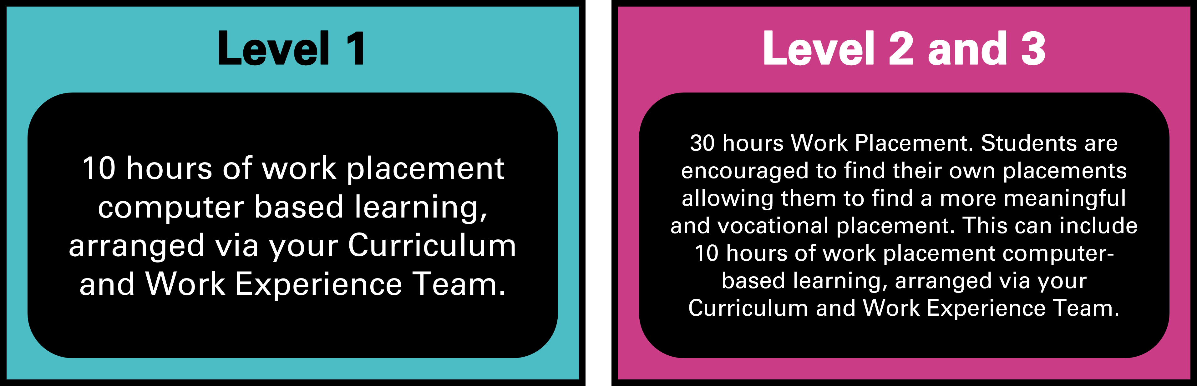 Diagram showing Work Experience placements by level