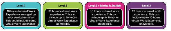 Diagram showing Work Experience placements by level