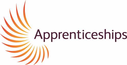 Apprenticehips Logo resized for website